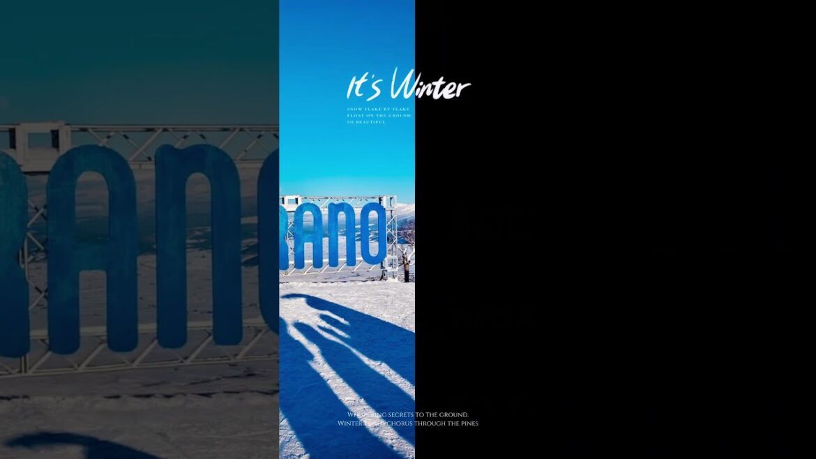 Furano 富良野的晴天很适合拍照 #snowboarding #snowboard #snow #furano #shorts