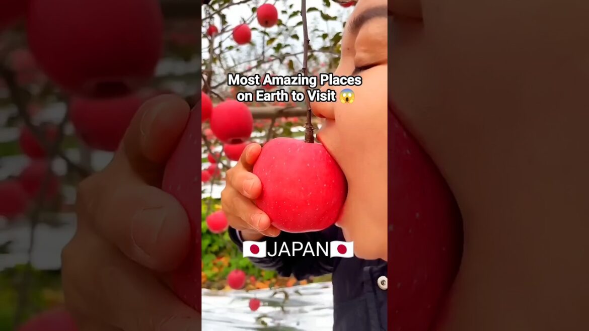 Best Places to Visit in Japan #travel #explore #shorts #nature #japan