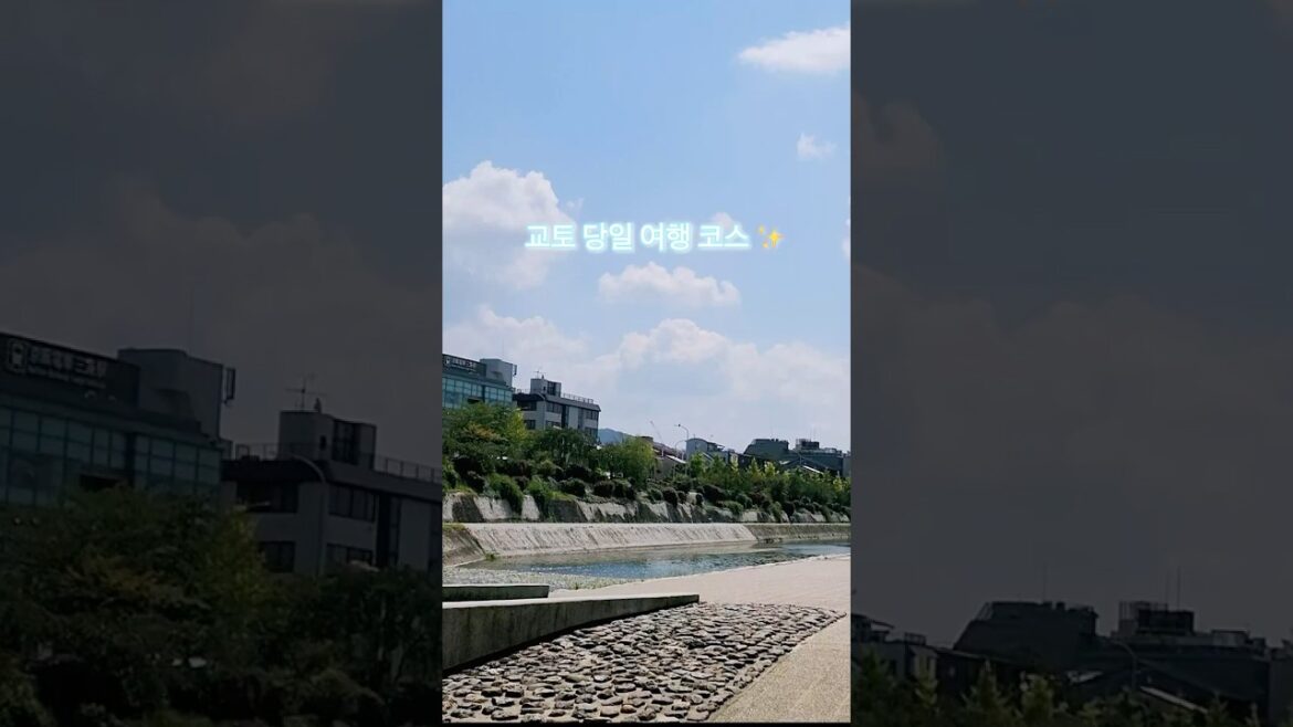 교토 당일 치기 여행 코스 추천✨ #교토여행