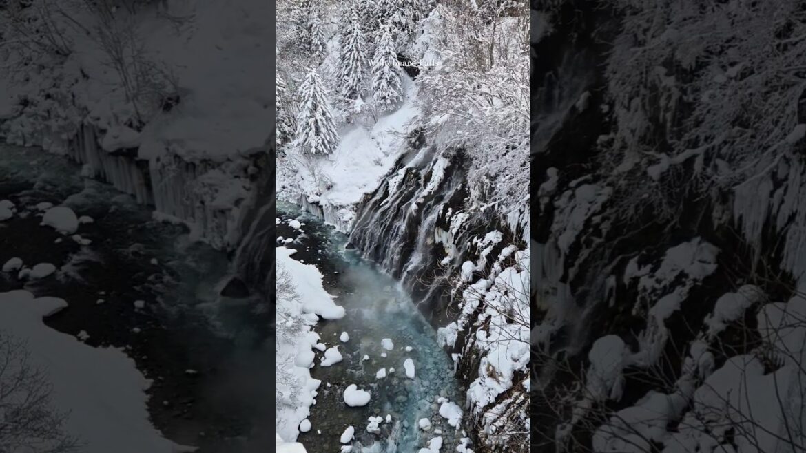 온천수가 흐르는 비에이의  흰수염폭포