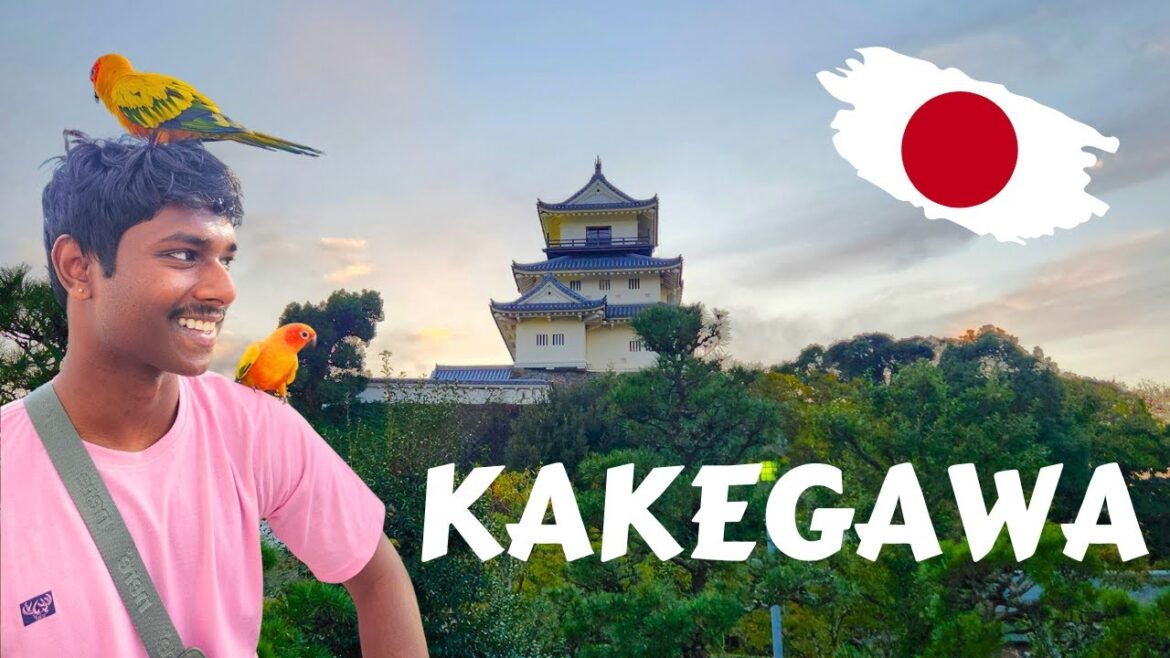 Japan Vlog - Kakegawa Kachoen | Kakegawa Castle