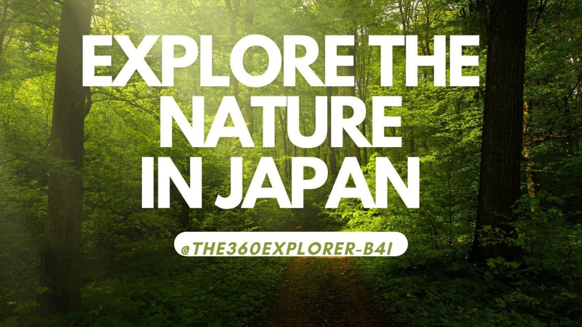 best places to visit japan best places to visit japan