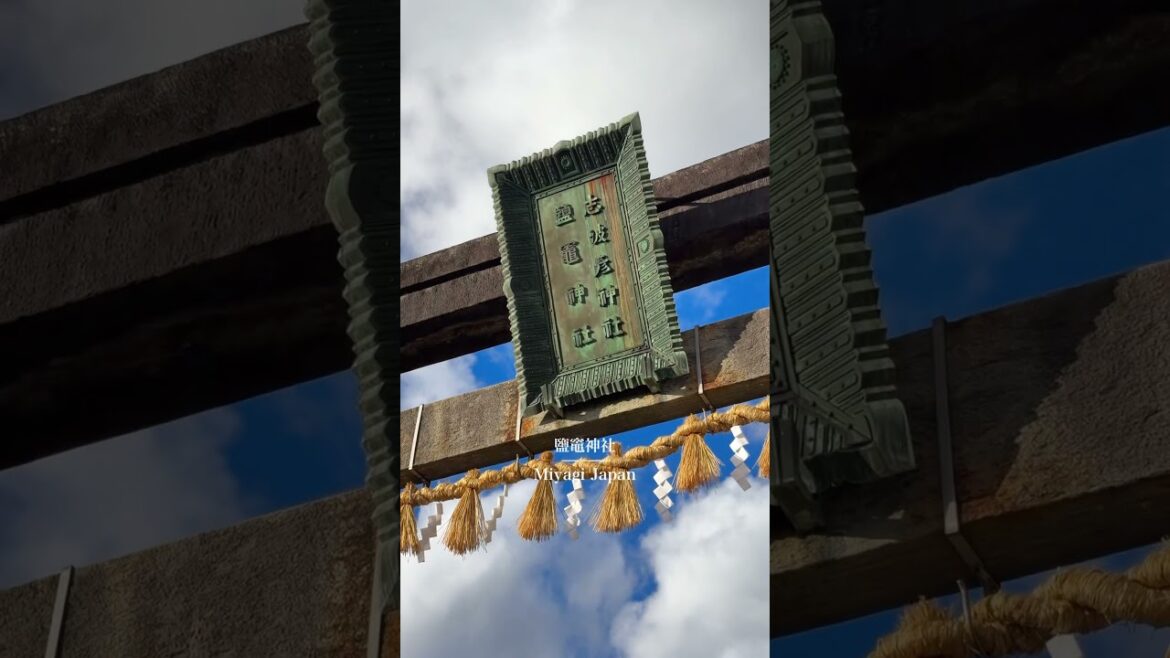 【宮城神社】鹽竈神社⛩️#japantravel #宮城 #塩竈 #神社 #宮城神社 #japantrip #japanvlog #shirine #japaneseculture #shorts