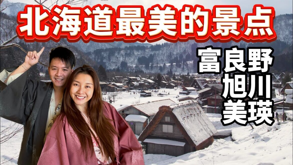 北海道被哈士奇拉着跑!看企鹅散步!美瑛富良野景点推荐!Hokkaido VLOG! 北海道被哈士奇拉着跑!看企鹅散步!美瑛富良野景点推荐!Hokkaido VLOG!