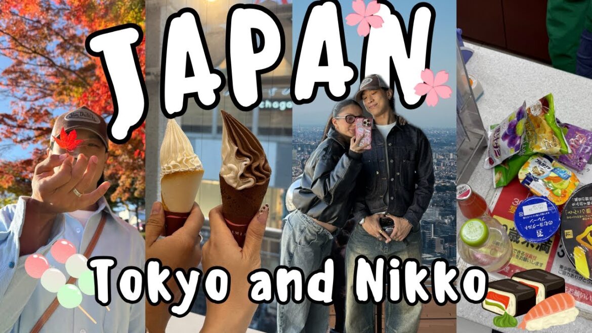 JAPAN - Tokyo & Nikko, our last travel vlog for a while :(