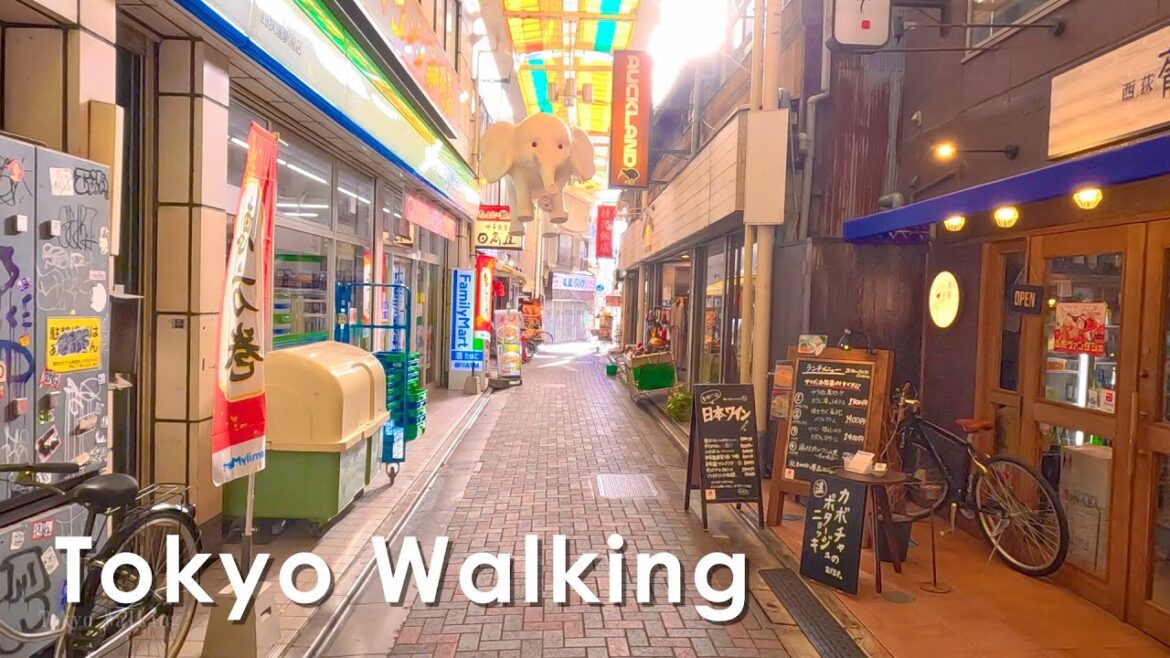 Japan Walking tour in Nishiogikubo, Tokyo 4K Japan Walking tour in Nishiogikubo, Tokyo 4K