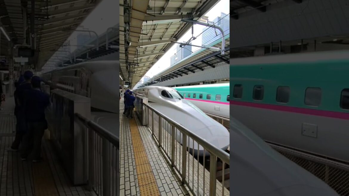 Shinkansen = my favourite way to travel ❤️