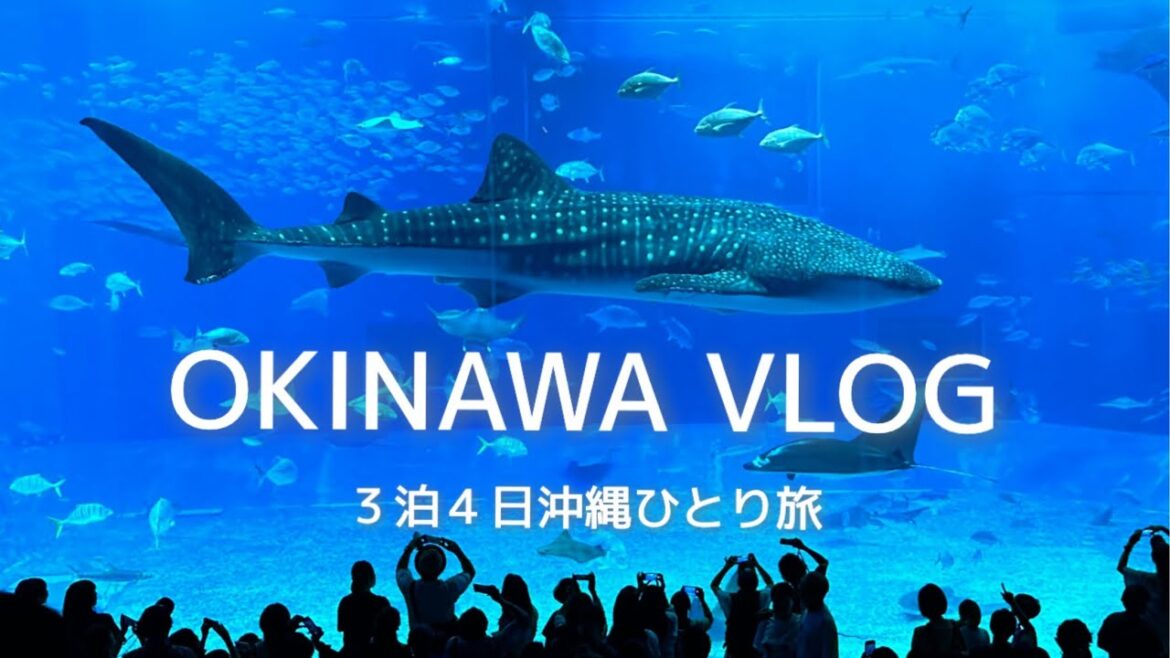 【vlog】沖縄ひとり旅｜3泊４日前編｜会いたい！食べたい！を叶えに行く人の旅｜アンテルーム那覇