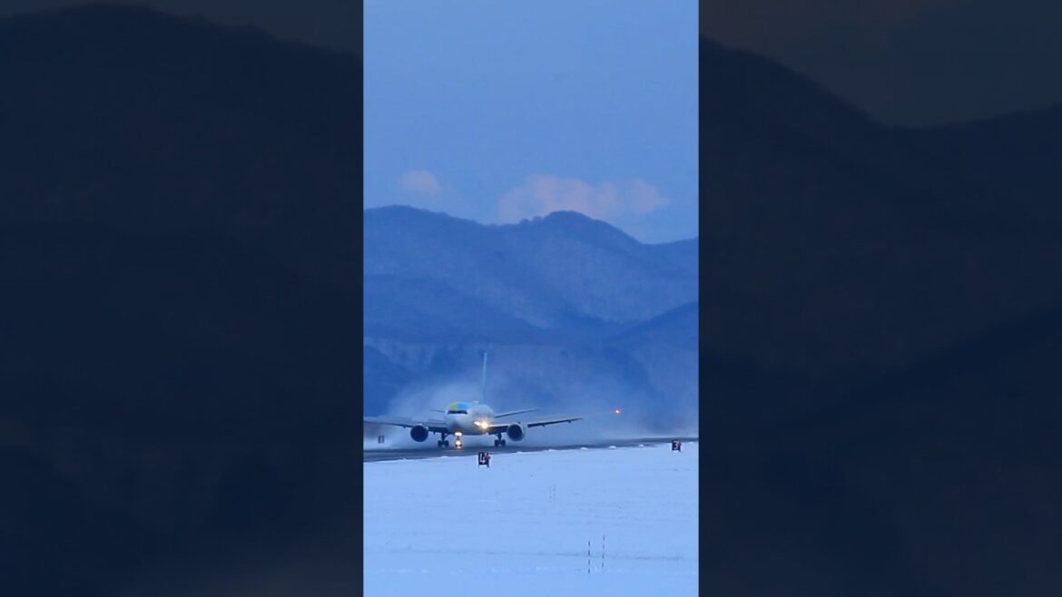 函館空港　AIRDO Boeing 767-381(ER) 特別塗装機「ロコンジェット北海道」