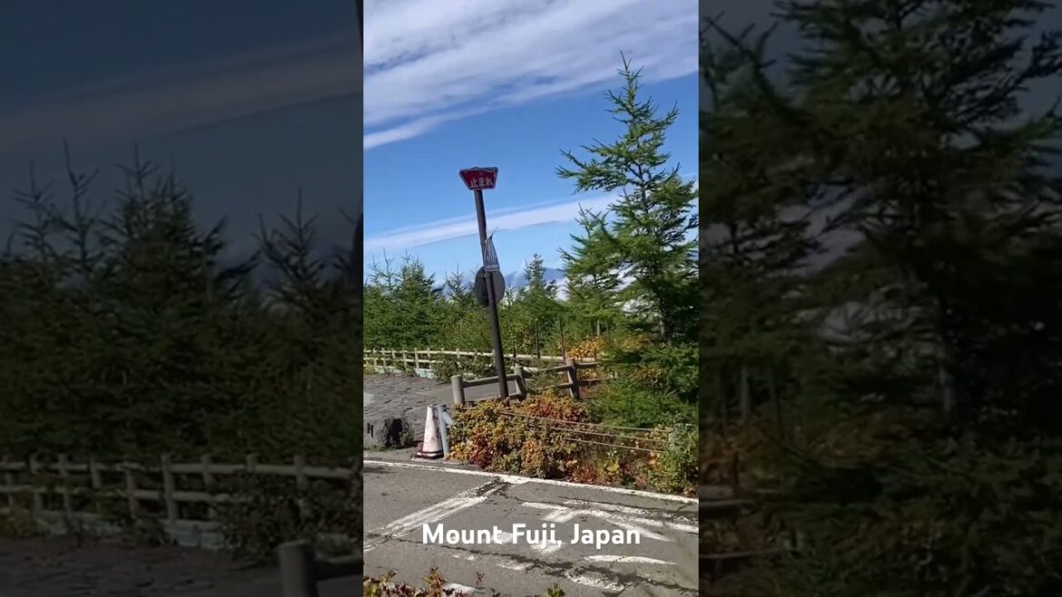 Japan Tour #24.                                    Mount Fuji Japan