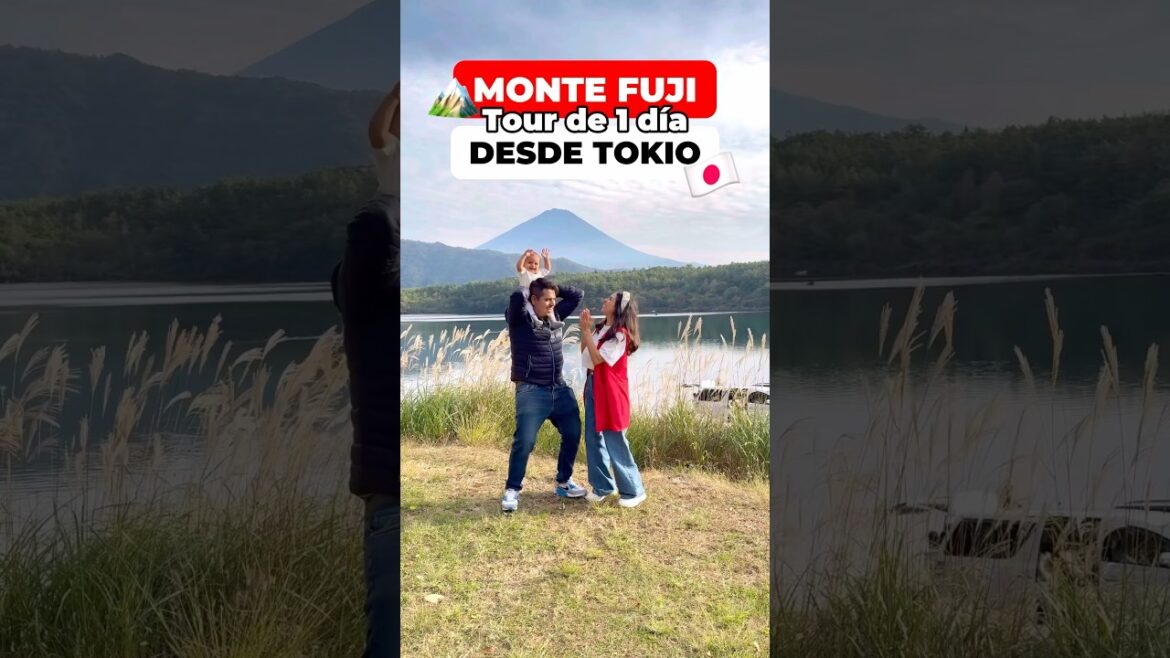 🏔️ Tour de 1 día al Monte Fuji desde Tokio 🇯🇵 #japon #mtfuji #fuji