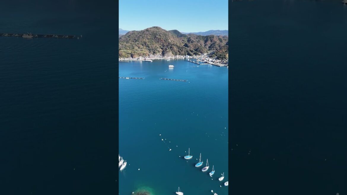 [沼津]長浜城跡から見る内浦湾沿岸 2024.12.23.