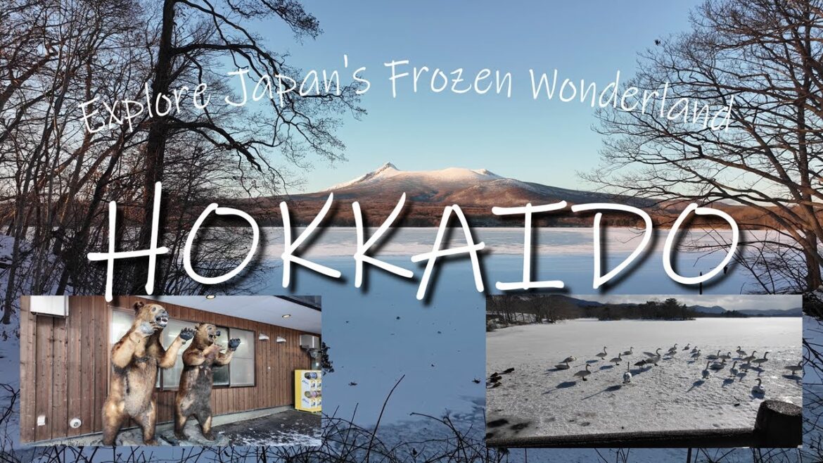 Discover the Frozen Beauty of Onuma Quasi-National Park | Winter Walk in Hokkaido’s Scenic Lake [4K]