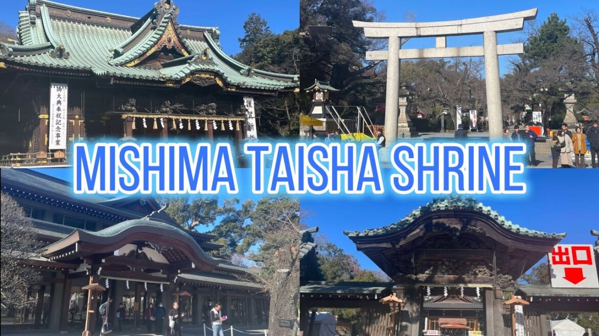 MISHIMA TAISHA SHRINE / MISHIMA SHIZUOKA / PINOY ENGINEER IN JAPAN MISHIMA TAISHA SHRINE / MISHIMA SHIZUOKA / PINOY ENGINEER IN JAPAN