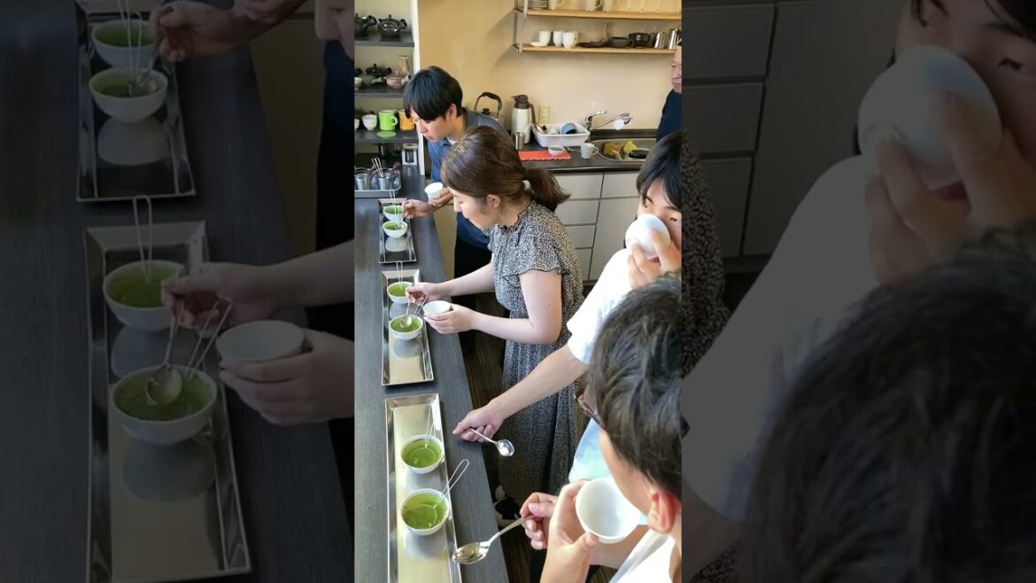 【静岡茶町飲み比べツアー】静大生が初めてお茶屋さんで飲み比べ体験！