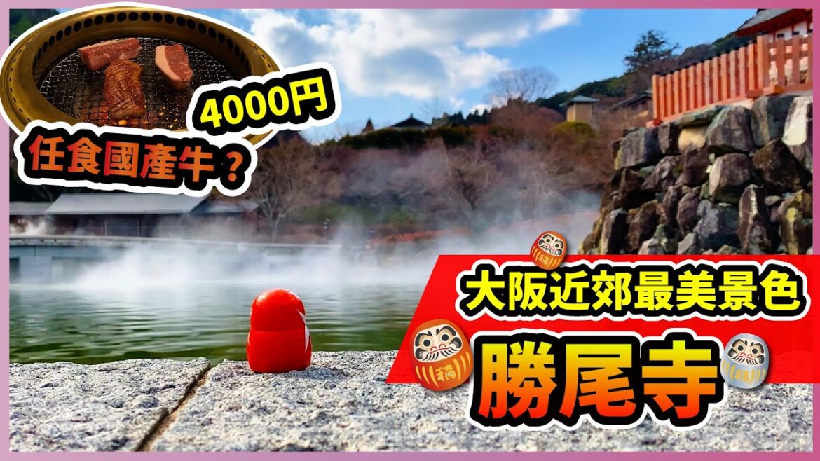 【日本自由行】 ⛩️冇去勝尾寺等於冇去過大阪?😱|做少一件事哂左半日時間🥲|🎎勝尾寺|💧箕面瀑布|任食國產牛|交通攻略 【日本自由行】 ⛩️冇去勝尾寺等於冇去過大阪?😱|做少一件事哂左半日時間🥲|🎎勝尾寺|💧箕面瀑布|任食國產牛|交通攻略