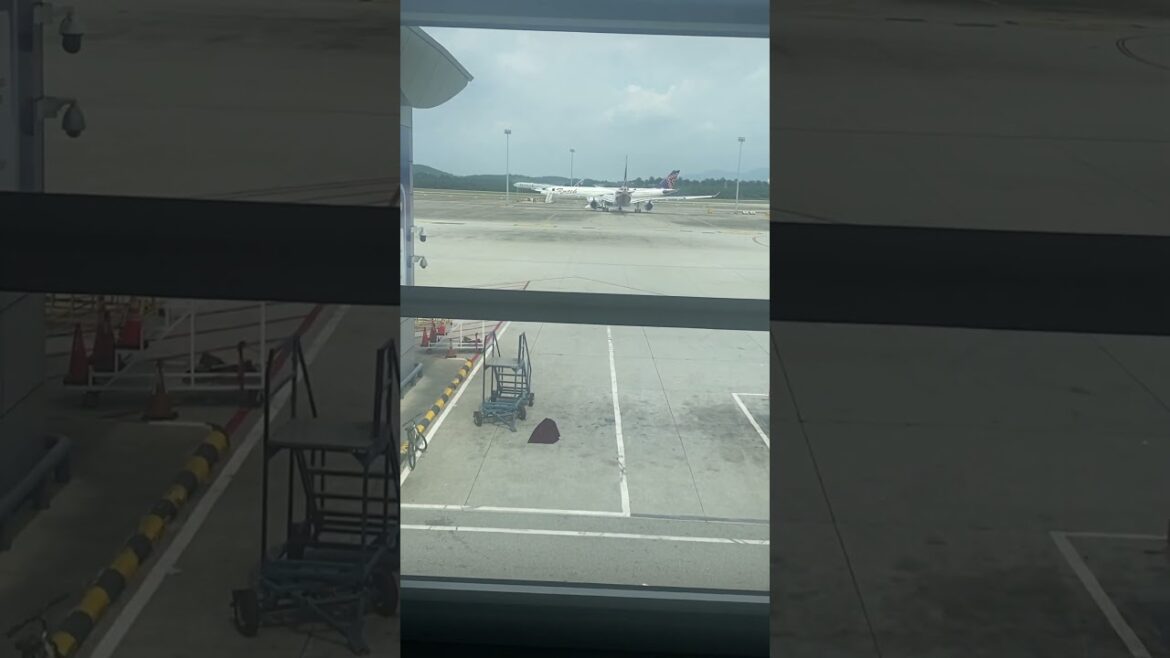 #planelanding #plane #landing #smoothlanding #shorts #short #explore #adventure