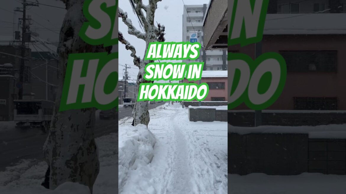 If Visiting Hokkaido Prepare for SNOW If Visiting Hokkaido Prepare for SNOW