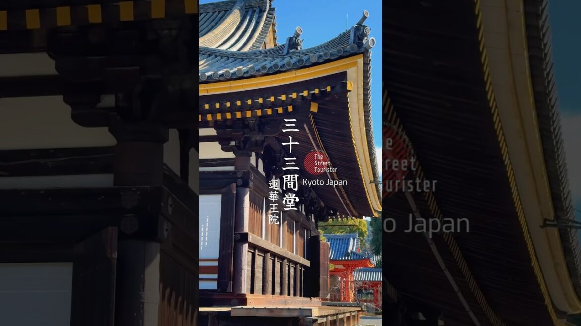 京都 三十三間堂 紅葉 #japan #kyoto #travel #autumn #日本 #京都 #紅葉 #旅行 #三十三間堂 #神社仏閣 #国宝 #shorts
