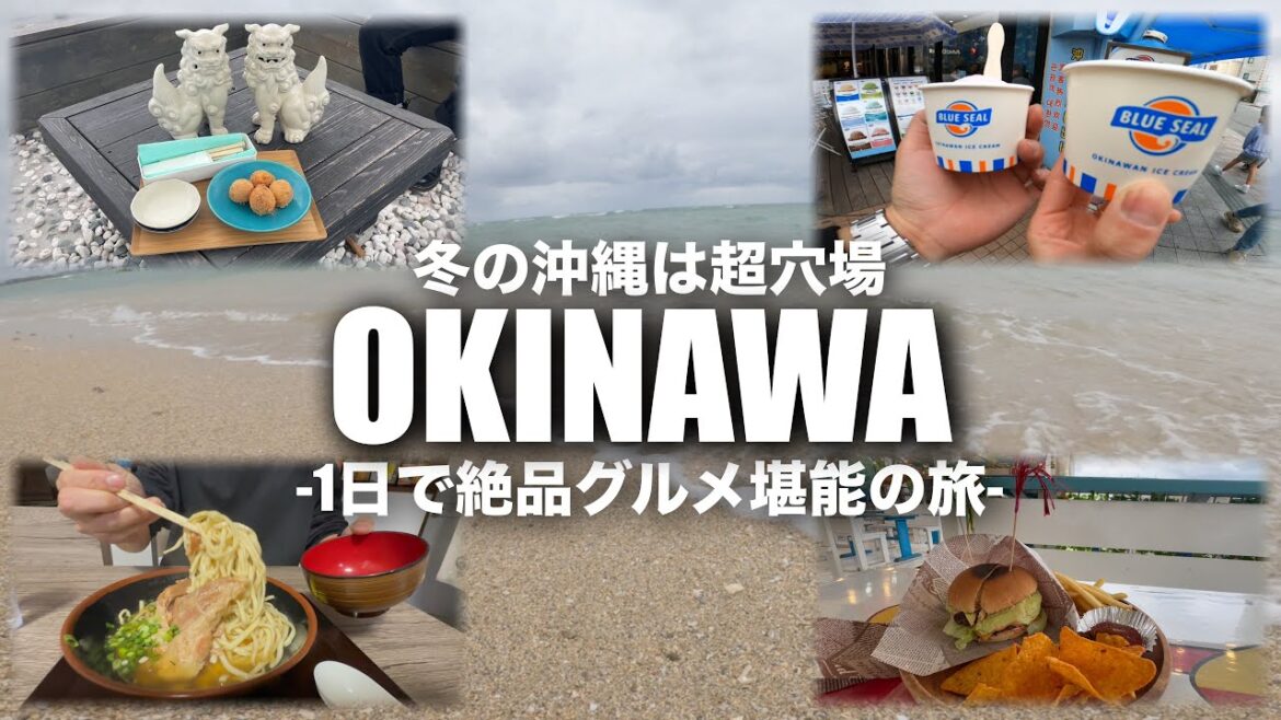 【沖縄旅行】沖縄行くなら絶対冬が狙い目⛄️美味しいものを1日で食べ尽くす/男2人の観光とグルメ旅🌺