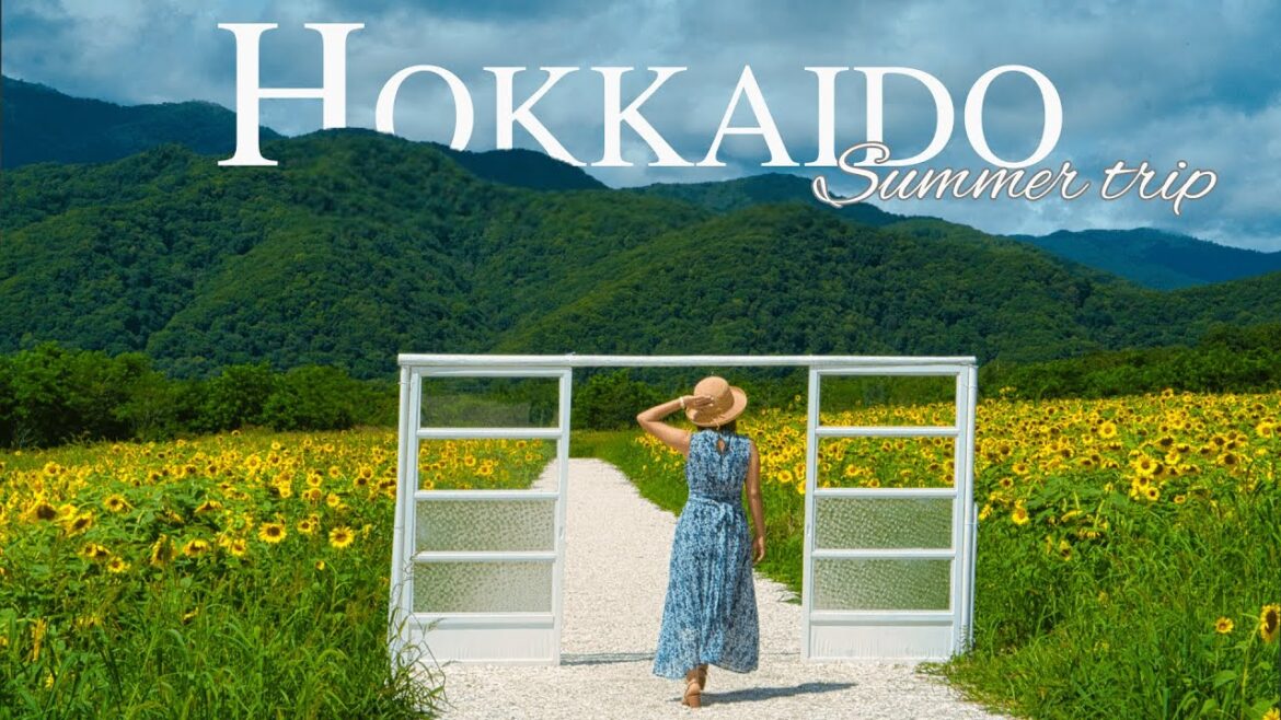 Hokkaido summer road trip - relaxing vibes, hidden gems, food