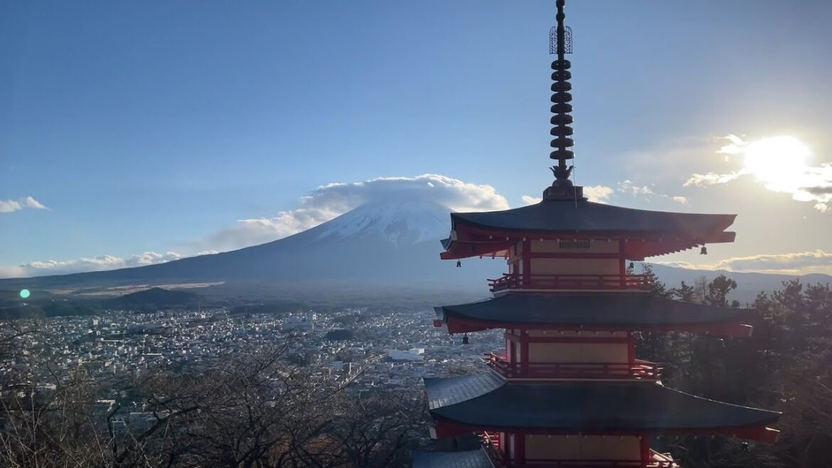 Mt. Fuji - Bus Tours [Lake Kawaguchiko - Hakone Shrine - Arakurayama Sengen Park, Fuji Shimoyoshida]