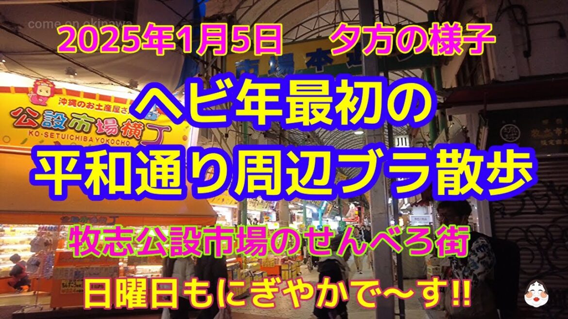 【沖縄観光】開南から公設市場せんべろ街へ｜1月の寒い日でもせんべろ街はにぎやかですね!! #沖縄散歩 #沖縄観光 #牧志公設市場 #sennbero #せんべろ街 #旅行 #kokusai