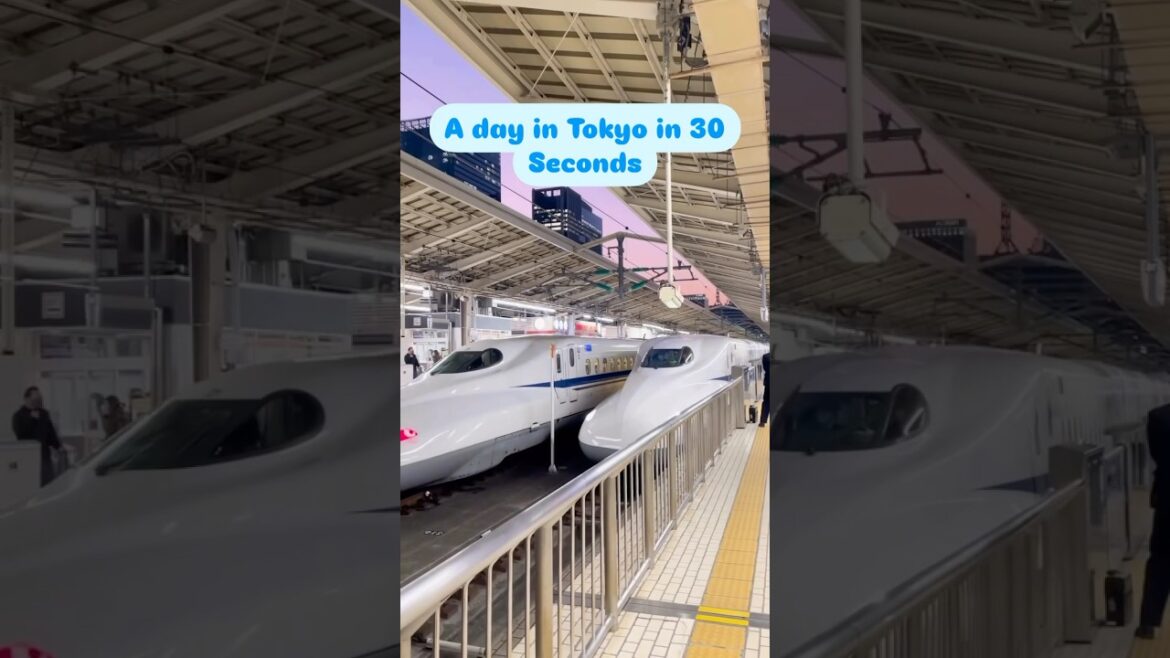 Ultimate 1 day guide for Tokyo | Japan 🇯🇵