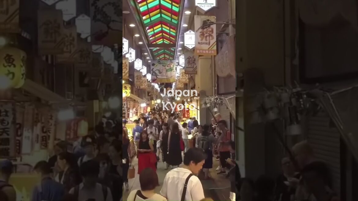 Kyoto’s Wonders #japan #kyoto #travel  #youtubeshorts Kyoto’s Wonders #japan #kyoto #travel  #youtubeshorts