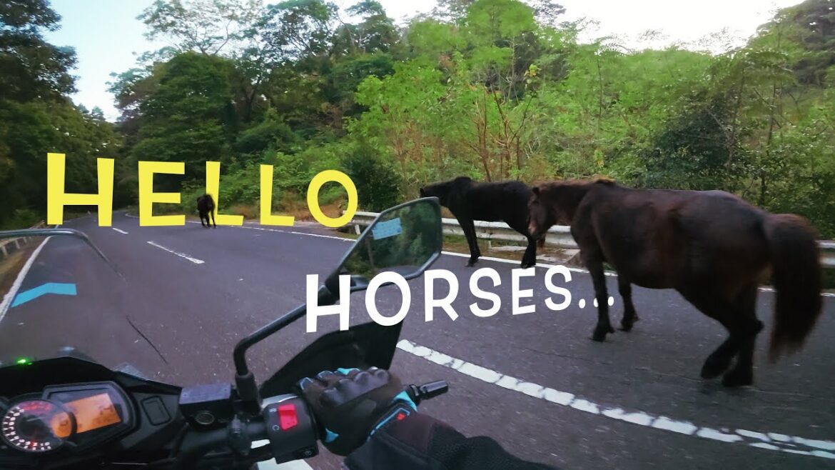 Kyushu Solo Tour (Kagoshima – Miyazaki) | Motovlog Kyushu Solo Tour (Kagoshima - Miyazaki) | Motovlog