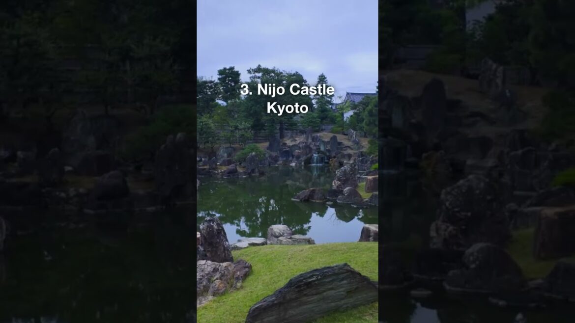 🌿 Mesmerizing Japanese Gardens in Kyoto & Nara 🇯🇵  #travel #japan #garden