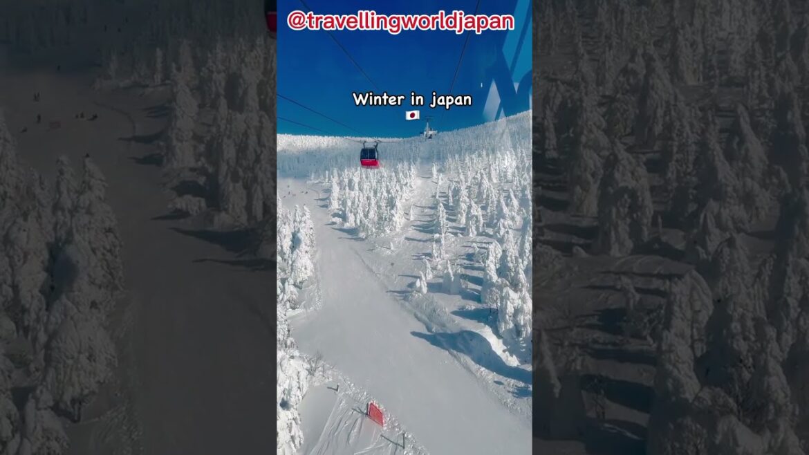 Winter Vibes Yamagata #japanlife #japan