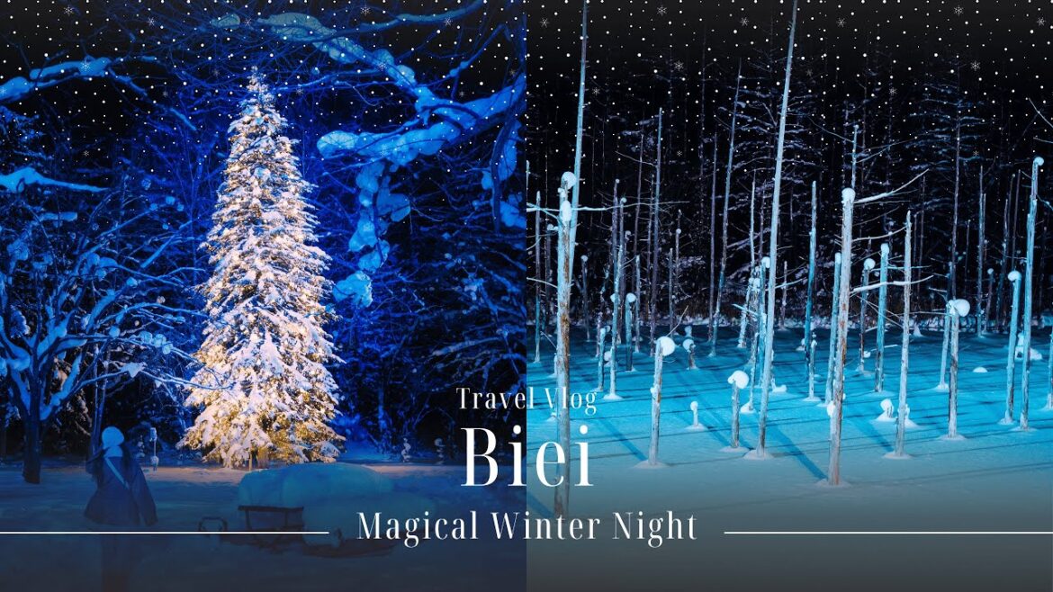 Japan Winter| Beautiful winter night in Biei I’ll never forget | Hokkaido Trip Day 2 Japan Winter| Beautiful winter night in Biei I'll never forget | Hokkaido Trip Day 2