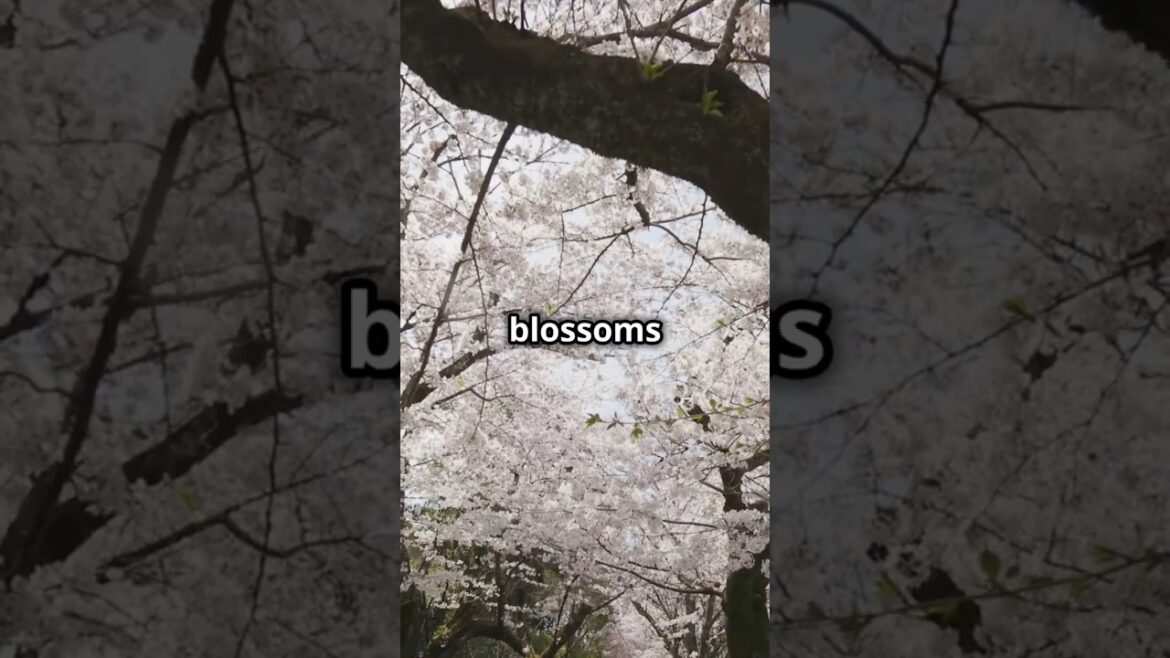 Top Seasonal Travel Spots You Can't Miss