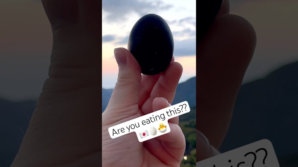Would you try this Black Egg in HAKONE, JAPAN? #japantravel #hakone #owakudani