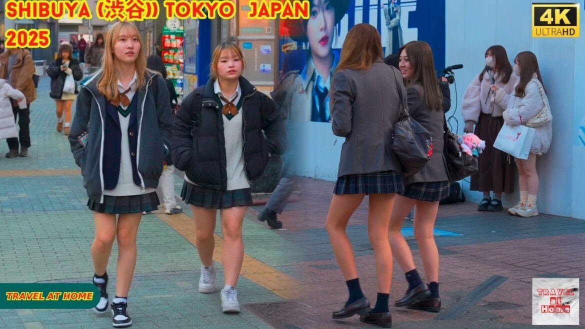 4k hdr Japan travel 2025 | Walk in Shibuya (渋谷) Tokyo Japan |  Relaxing Natural City ambience