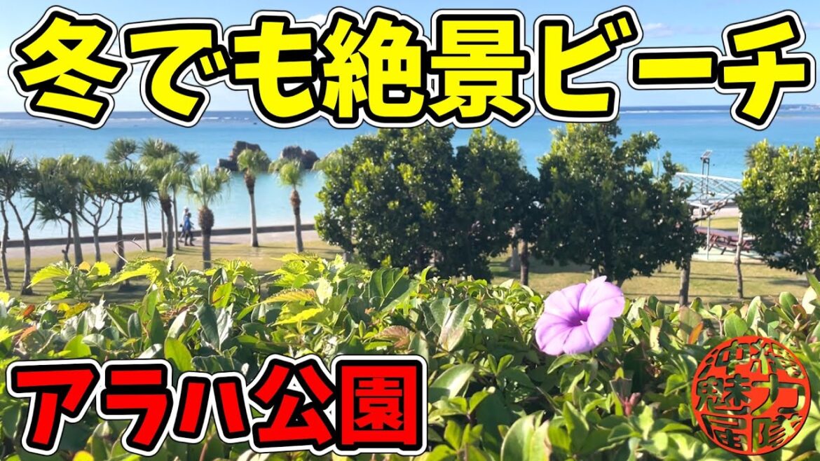【アラハ公園】冬でも晴れれば夏のように鮮やかなアラハビーチの絶景! 【アラハ公園】冬でも晴れれば夏のように鮮やかなアラハビーチの絶景!