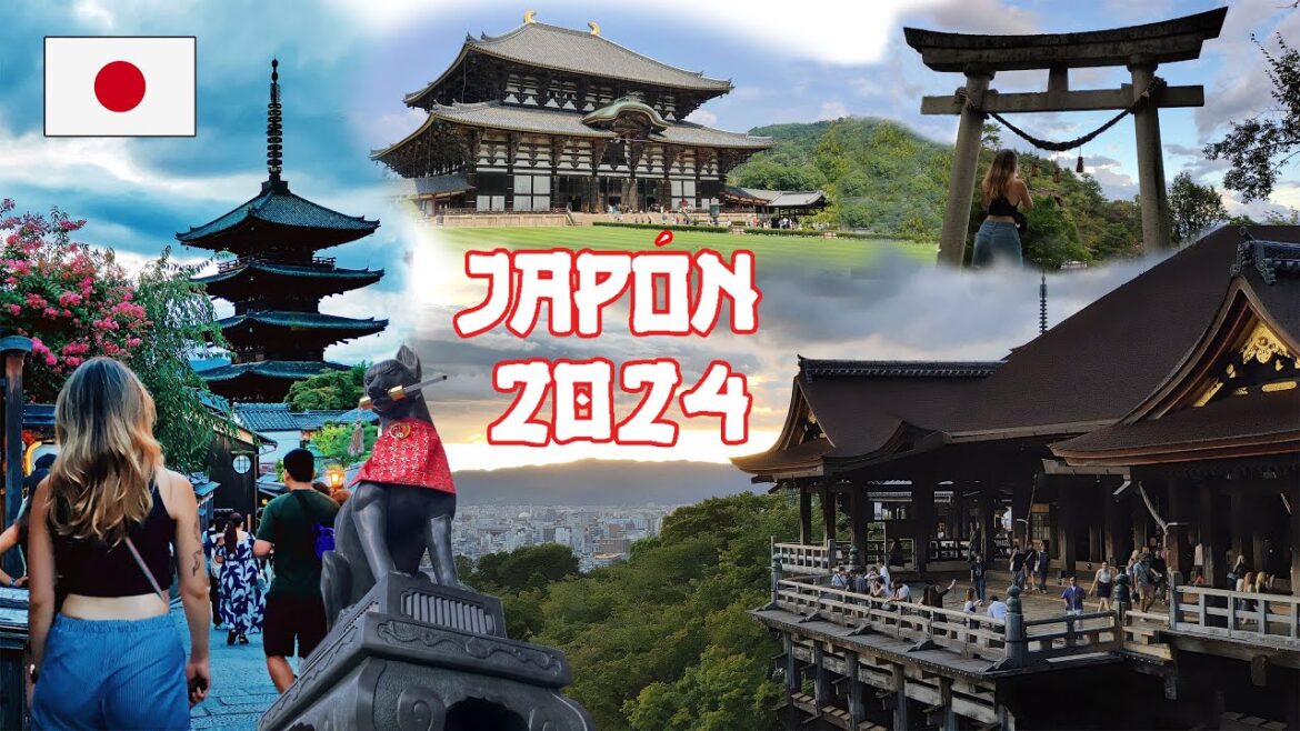 Viaje a Japón | Septiembre 2024 ⛩️