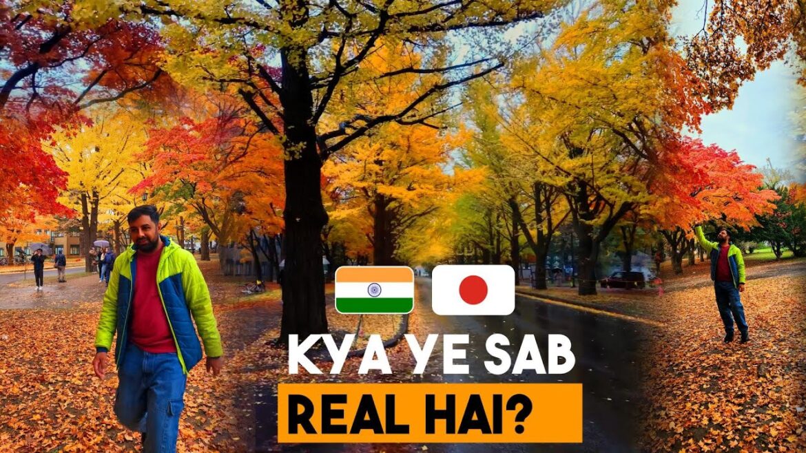 Day 5 | Indian in Japan | Autumn Foliage in Hokkaido University 🍁🍂