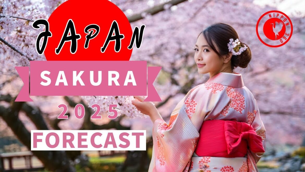 Japan's Sakura's forecast 2025