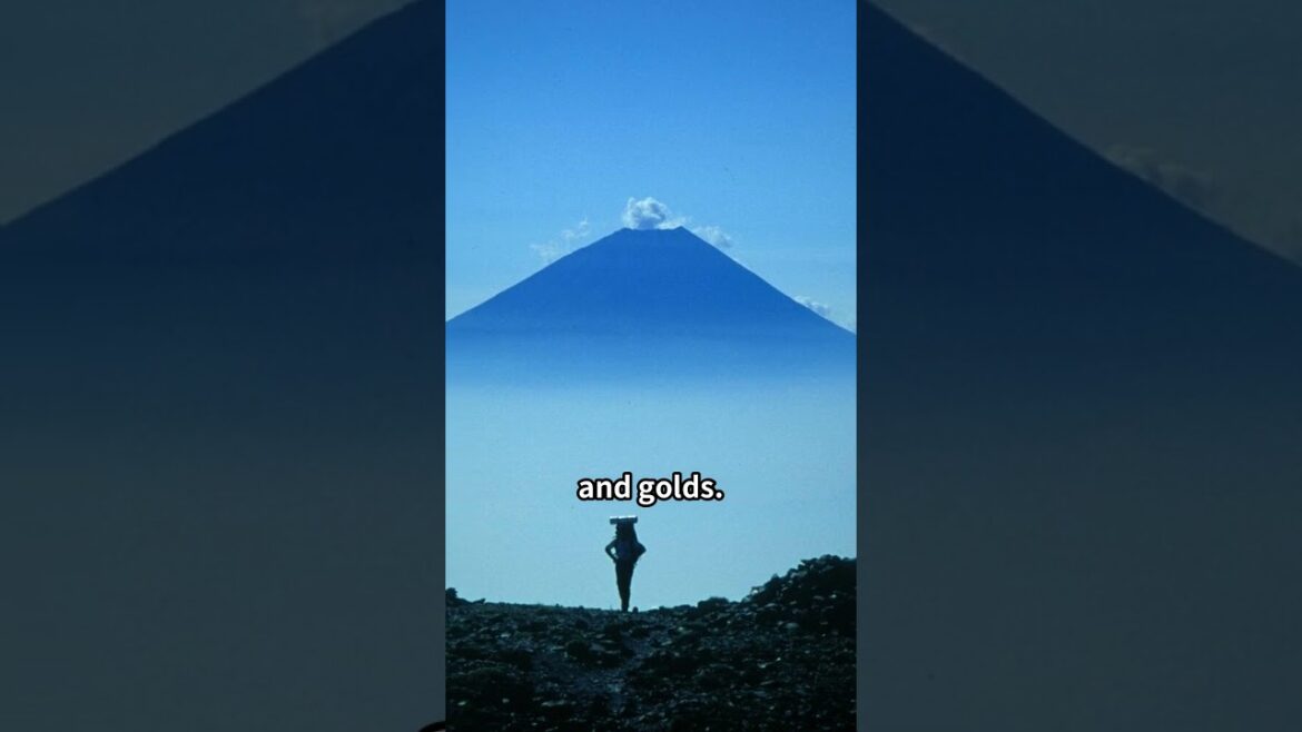 【JAPAN】Must Go Places Shizuoka（静岡） Jan2025 2