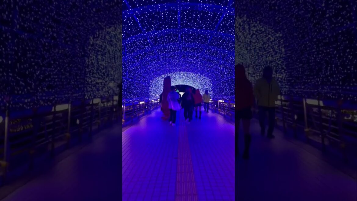 Till January and be normal again,;) #kokura#kitakyushu