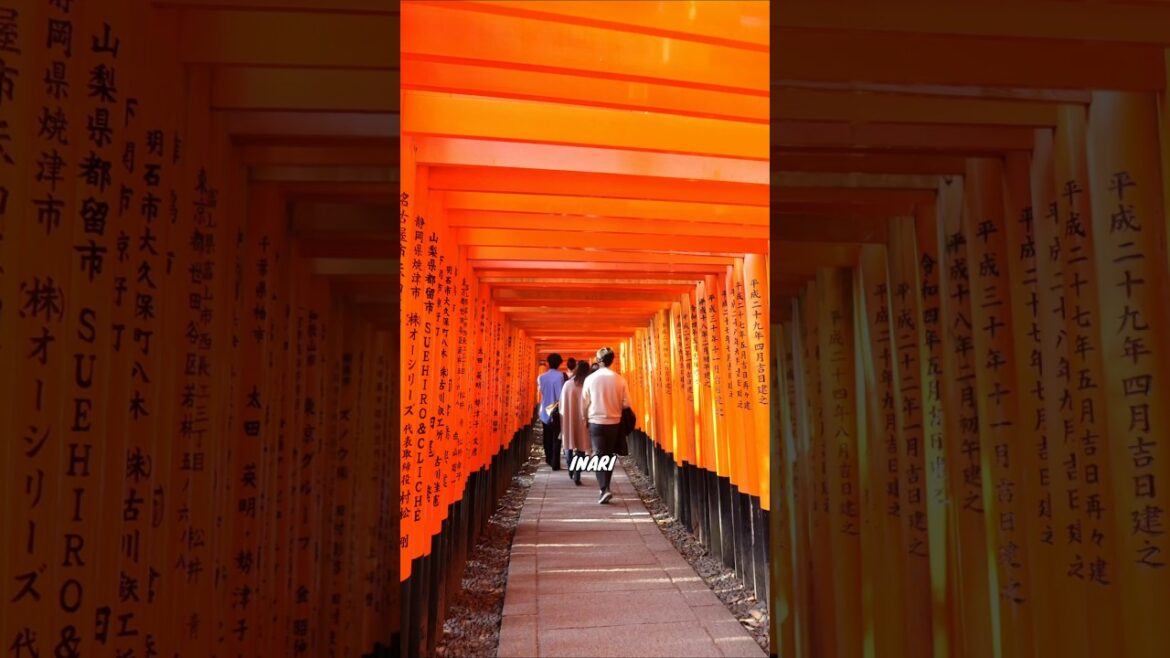 TOP 10 Things to do in KYOTO, Japan | #travel #kyoto #kyototravel #ytshorts #ytviralshorts #ytviral