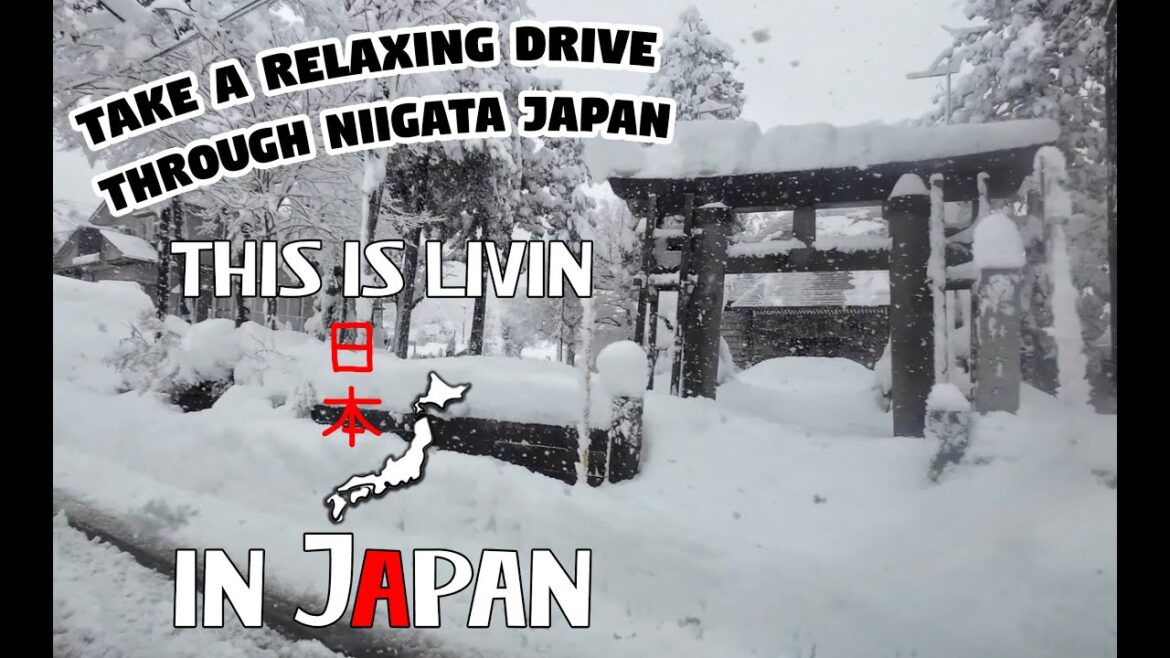DRIVING IN JAPAN | Niigata Prefecture