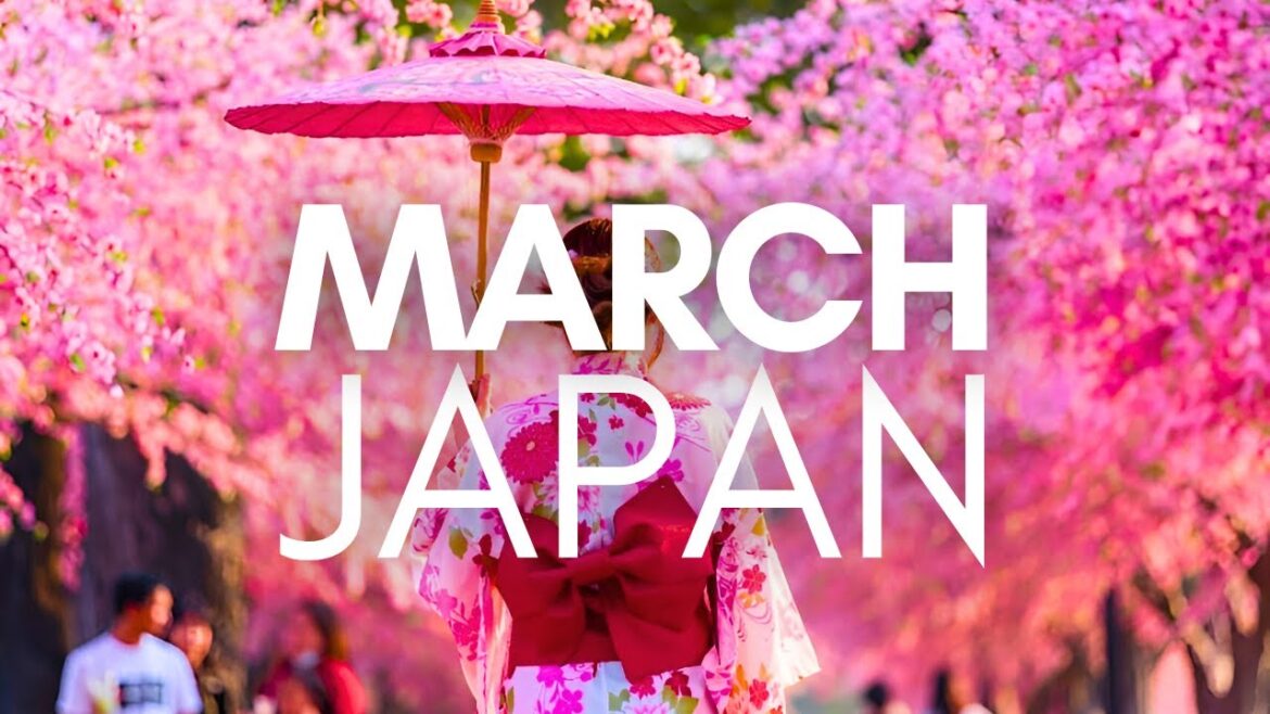 Best Things To Do In Japan In March – Travel Video Best Things To Do In Japan In March - Travel Video