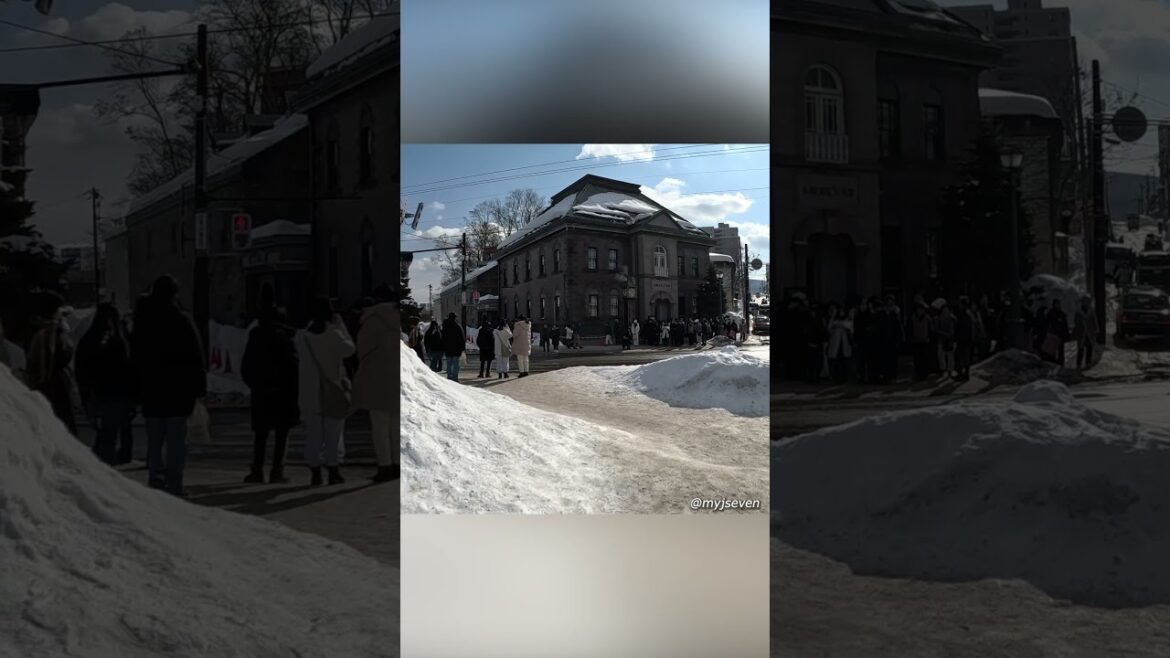 A Day Trip to Otaru #hokkaido #japan #winter