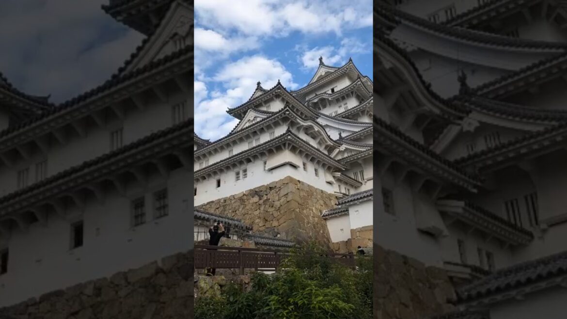 THIS IS ONE OF THE MOST BEAUTIFUL CASTLES IN JAPAN #travel #explore #japan