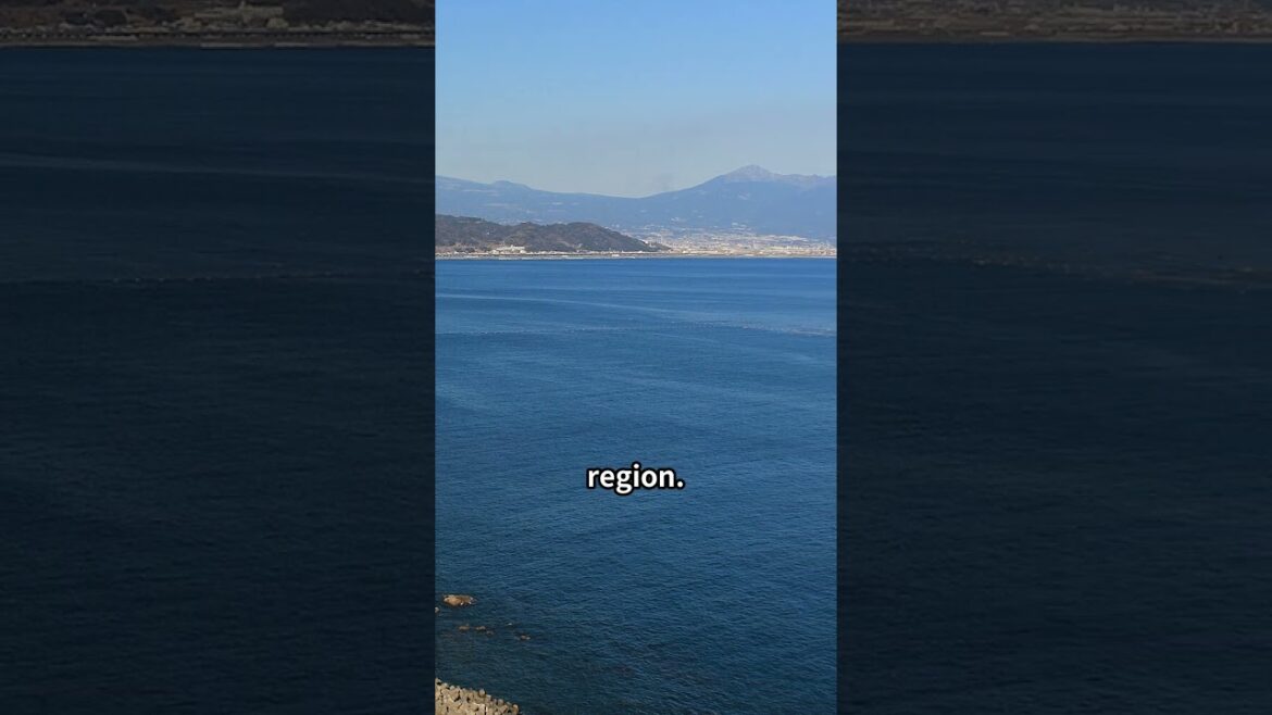 【JAPAN】Must Go Places Shizuoka（静岡） Jan2025