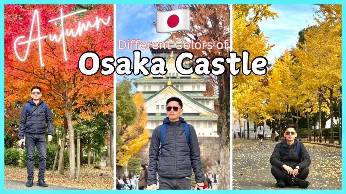 MAKUKULAY NA PUNO SA OSAKA CASTLE | Autumn in Japan 🇯🇵 | JEZZDOIT