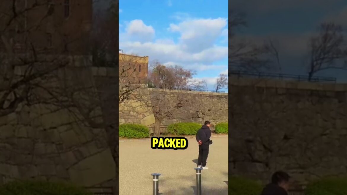 π―β¨ Exploring Osaka Castle β A Step Back in Time! #japan #travel #ytshorts #facts π―β¨ Exploring Osaka Castle β A Step Back in Time! #japan #travel #ytshorts #facts